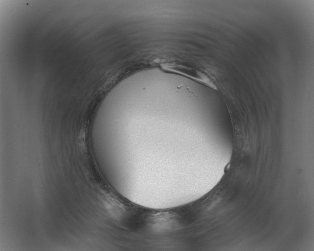 X0000062630269200601041039