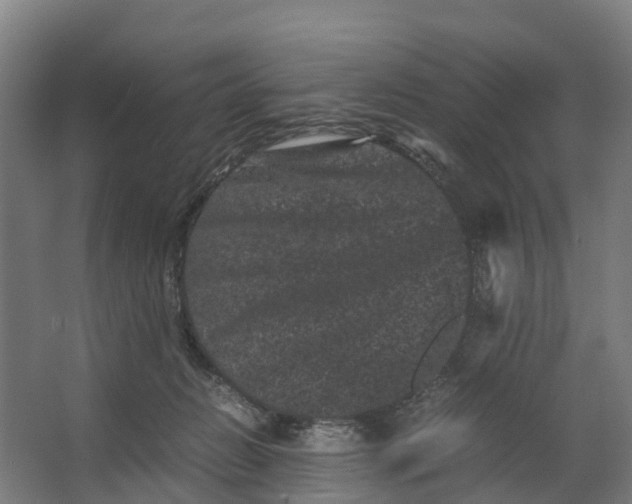 X0000062630270200601041039