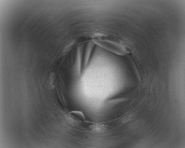 X0000062630273200601041039