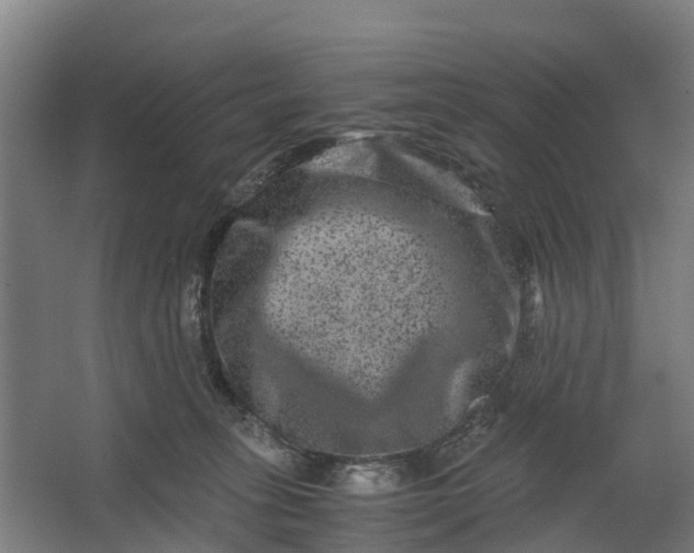 X0000062630275200601041039