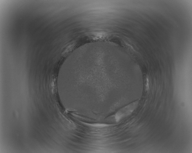 X0000062630276200601041039