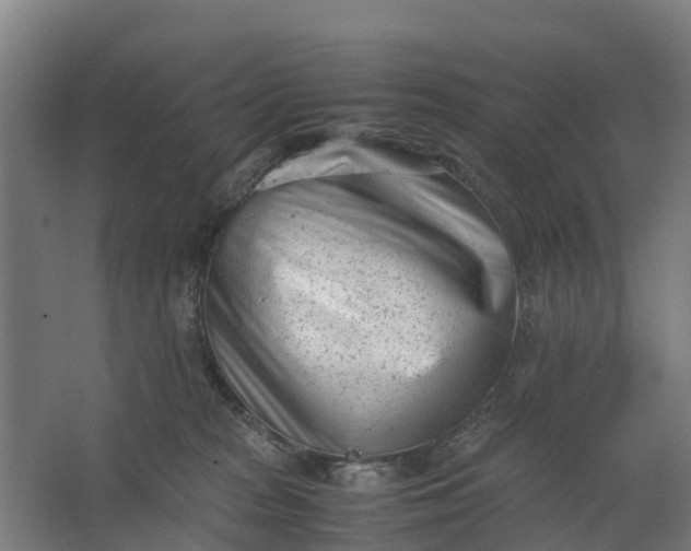 X0000062630277200601041039