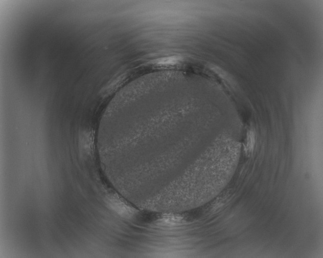 X0000062630278200601041039