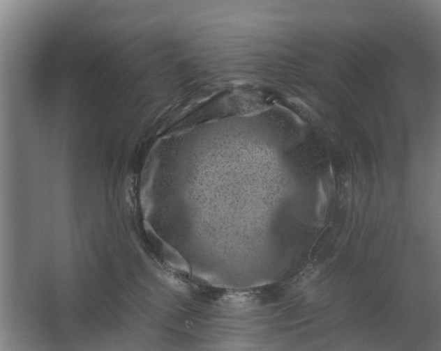 X0000062630280200601041039