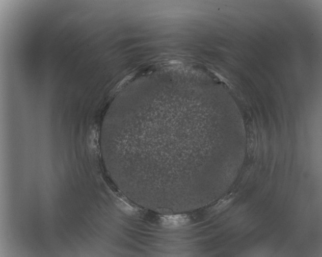 X0000062630281200601041039