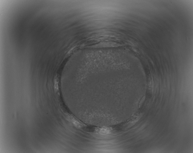 X0000062630282200601041039