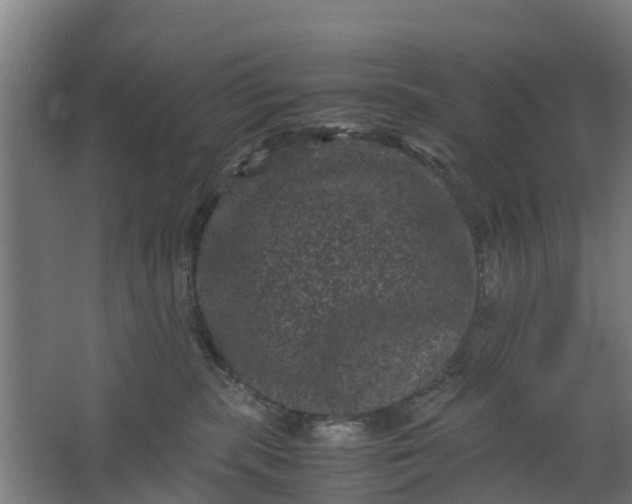 X0000062630283200601041039