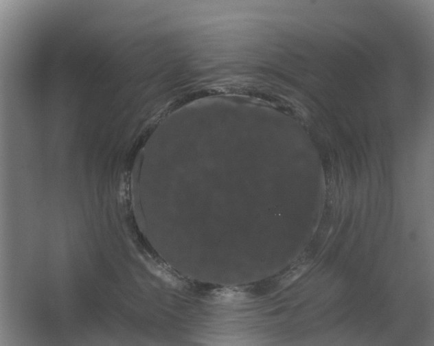 X0000062630284200601041039