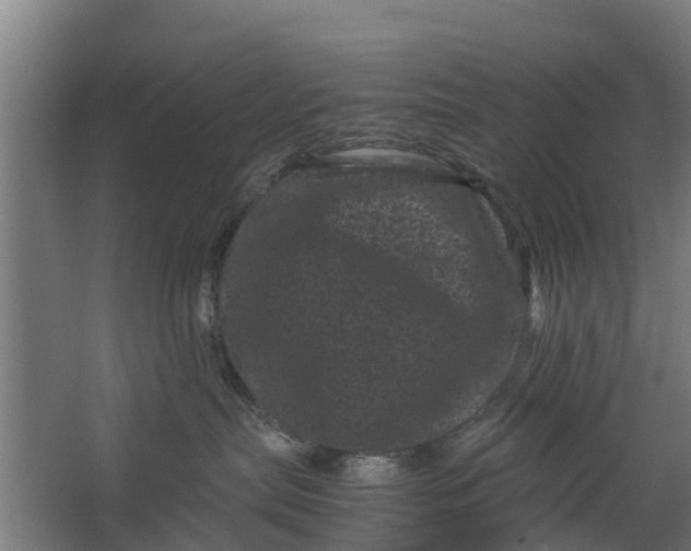 X0000062630287200601041039