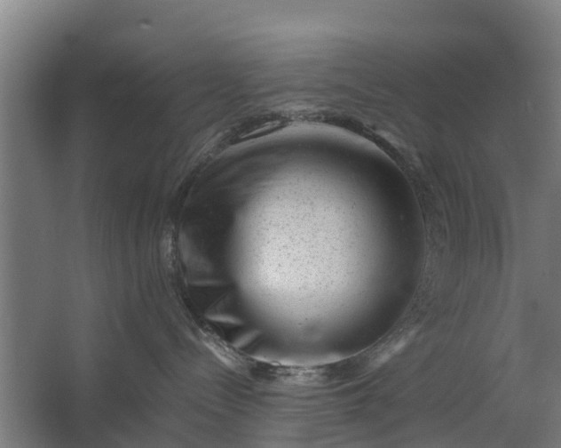 X0000062630288200601041039