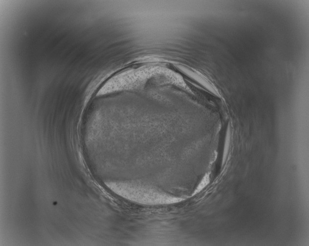 X0000062630289200601041038