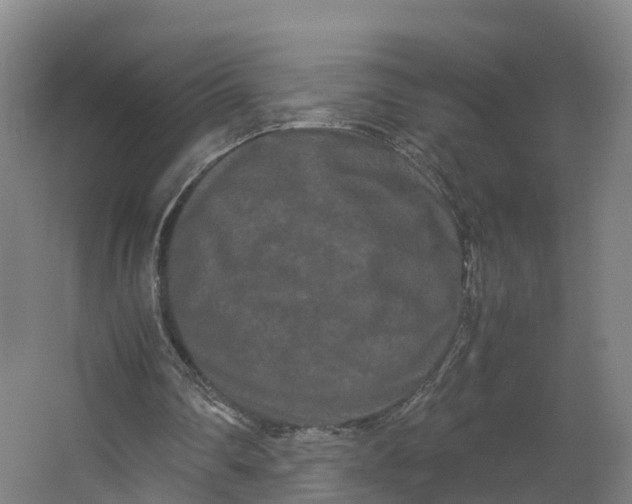 X0000062630290200601041038