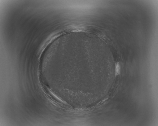 X0000062630291200601041038