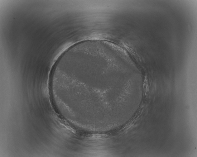 X0000062630292200601041038