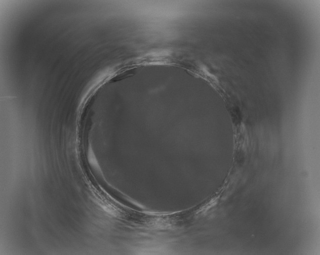 X0000062630293200601041038