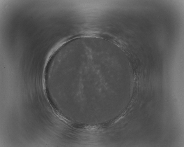 X0000062630294200601041038