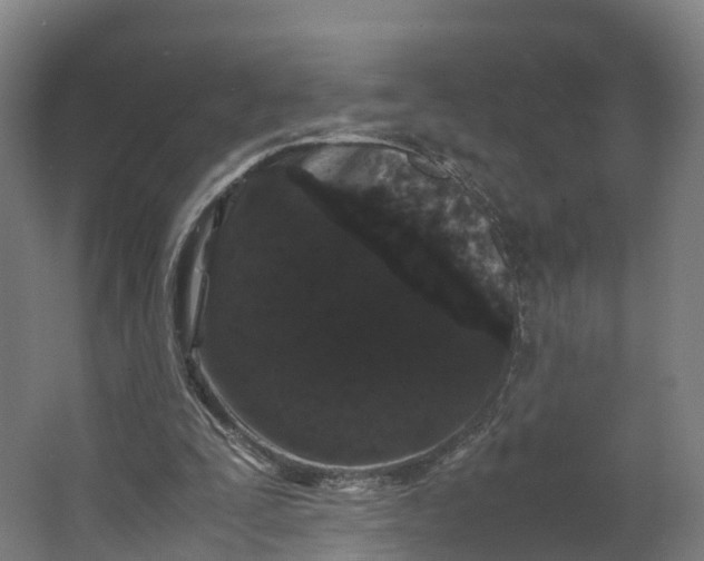 X0000062630295200601041038