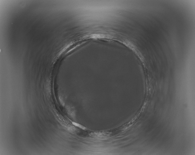 X0000062630297200601041038