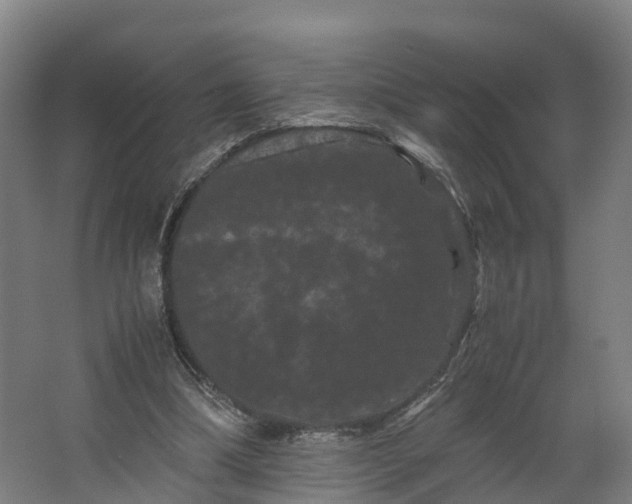 X0000062630298200601041038