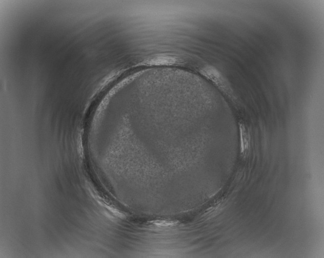 X0000062630300200601041038