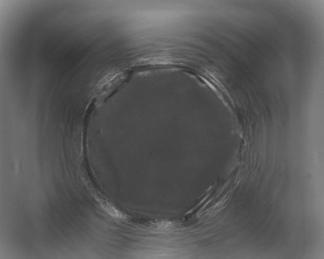 X0000062630301200601041038