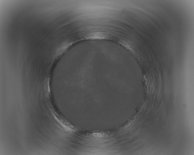 X0000062630302200601041038