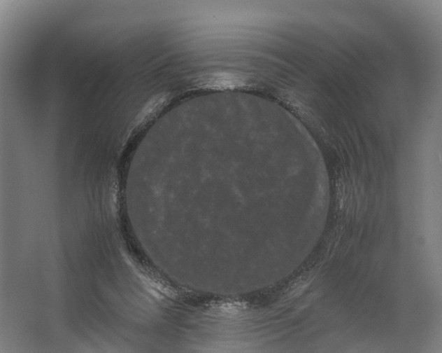 X0000062630304200601041038