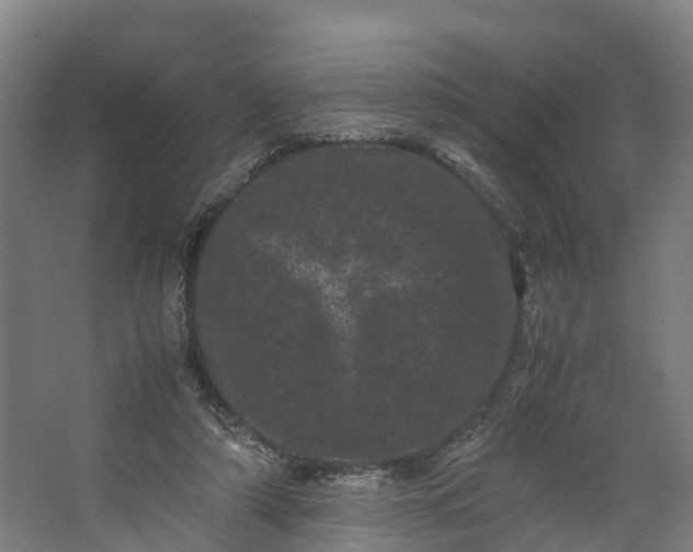 X0000062630306200601041038