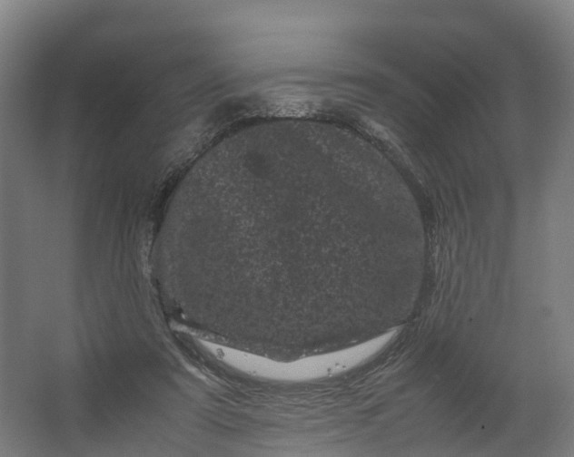 X0000062630307200601041038