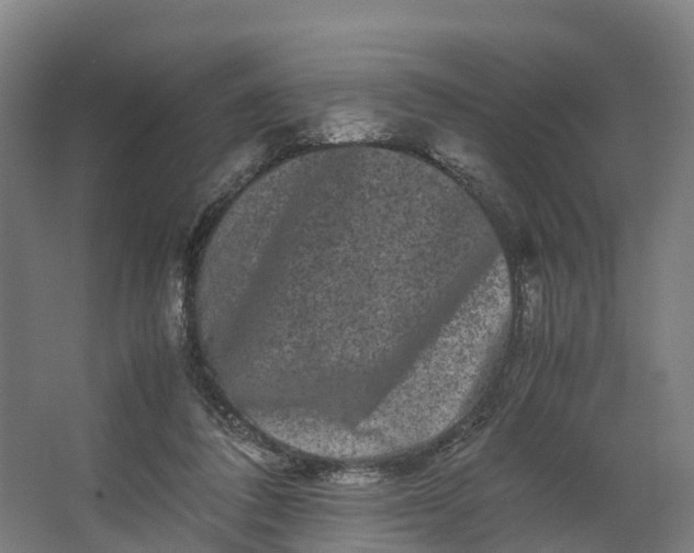 X0000062630308200601041038