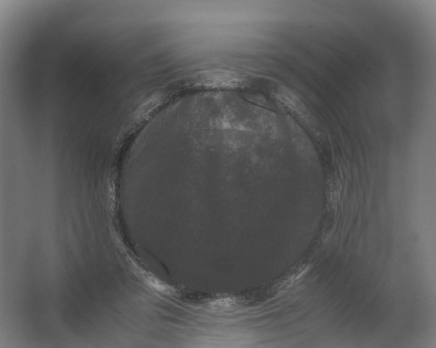 X0000062630309200601041038