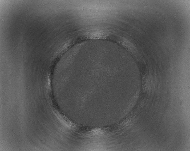 X0000062630310200601041038