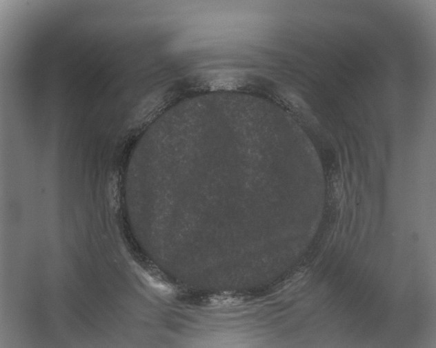 X0000062630311200601041038