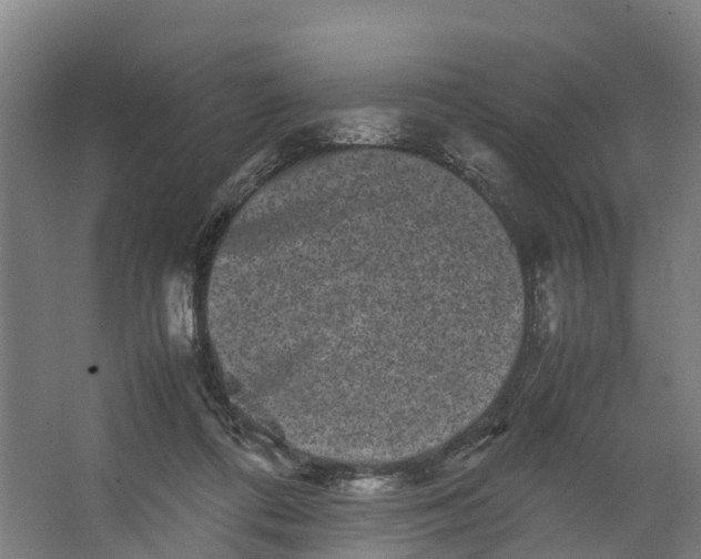 X0000062630312200601041038