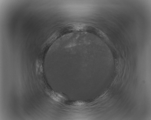 X0000062630313200601041038