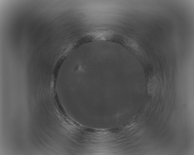 X0000062630314200601041038