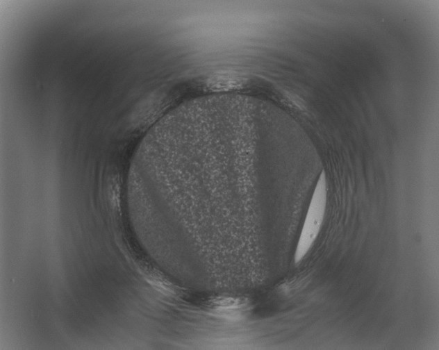 X0000062630315200601041038