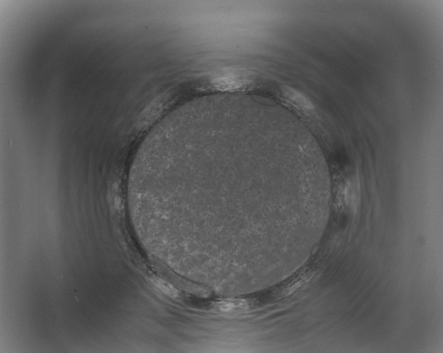 X0000062630317200601041038