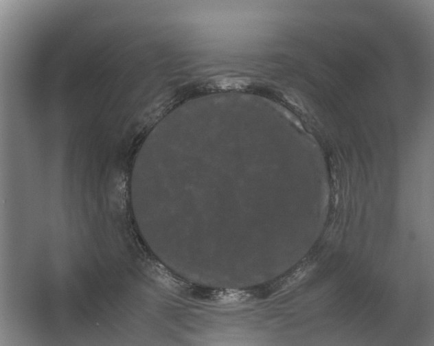 X0000062630321200601041038