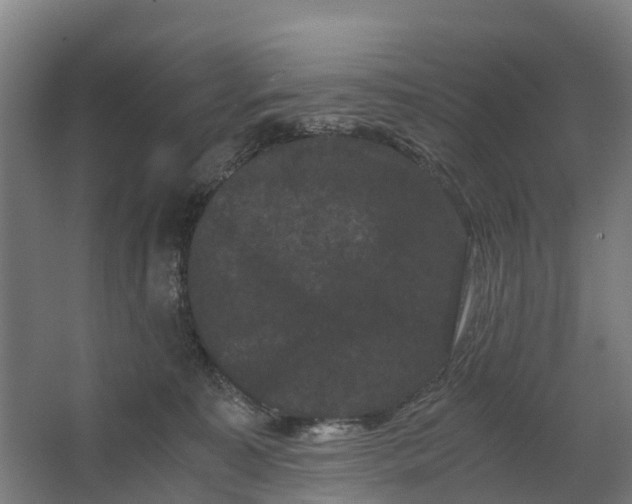 X0000062630323200601041038