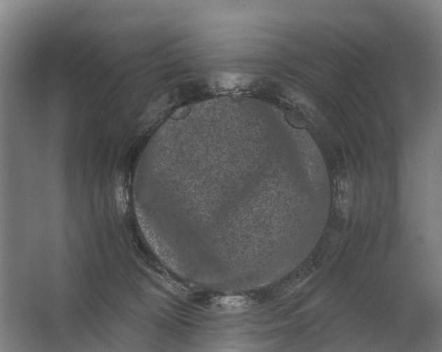 X0000062630324200601041038