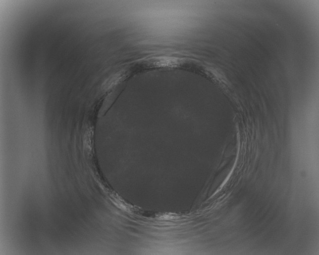 X0000062630325200601041038