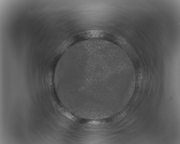 X0000062630326200601041038