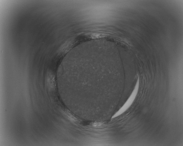 X0000062630327200601041038