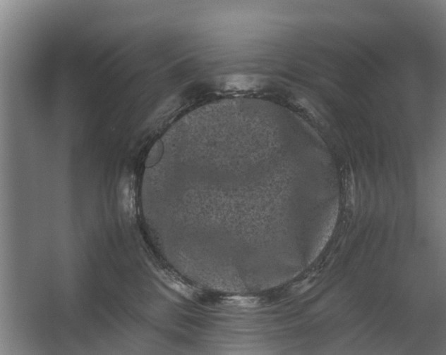 X0000062630328200601041038