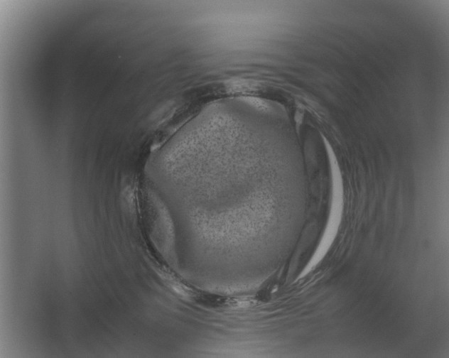 X0000062630329200601041038