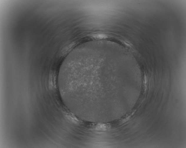 X0000062630330200601041038