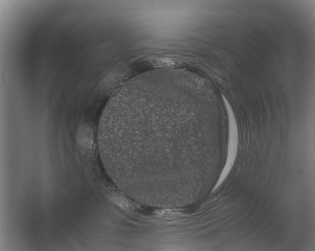 X0000062630331200601041038