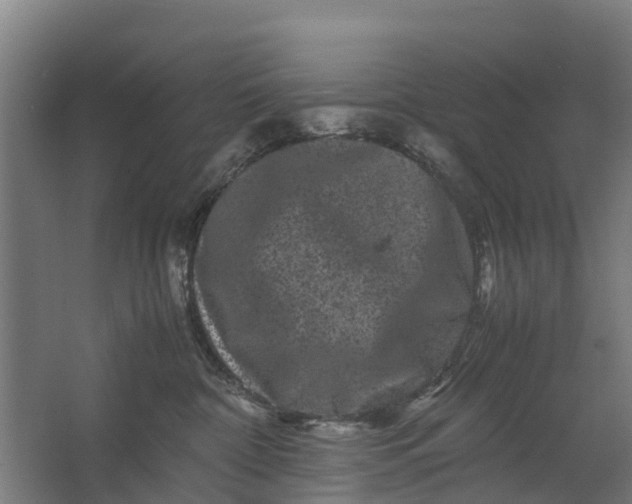 X0000062630332200601041038