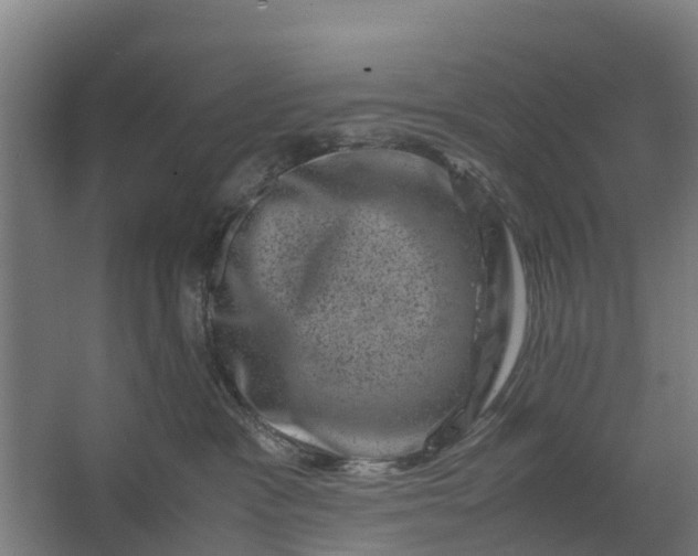 X0000062630333200601041038